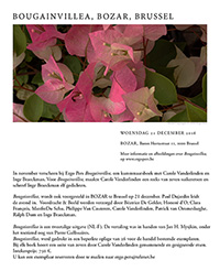 Bougainvillea, een livre de peintre met Carole Vanderlinden 
en Inge Braeckman, Ergo Pers 2016